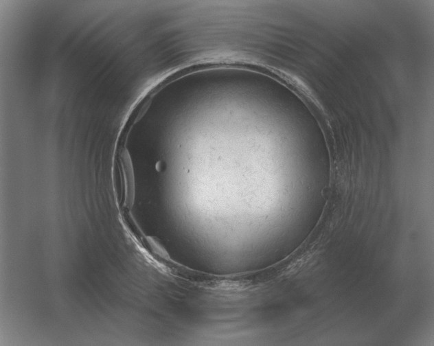 X0000054420839200508121749