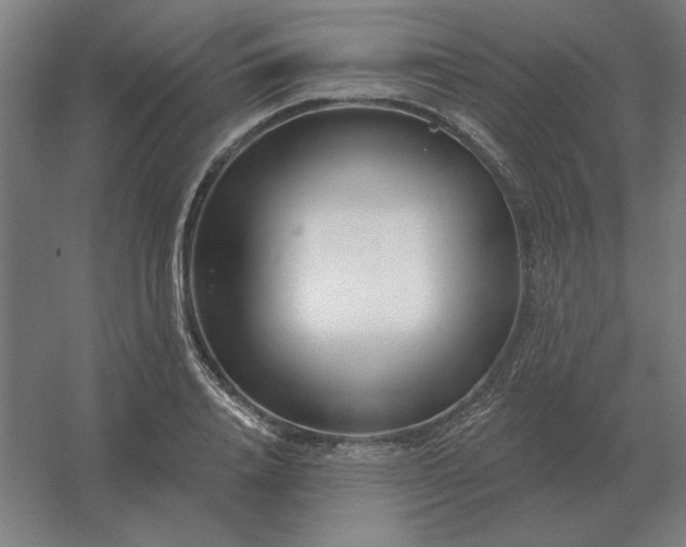 X0000054420840200508121749