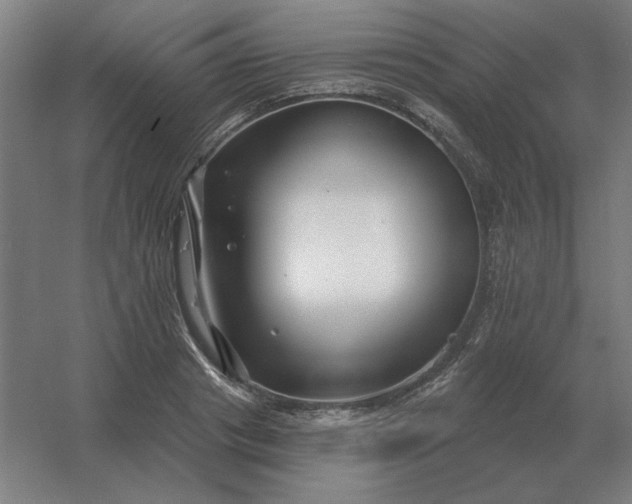 X0000054420841200508121749