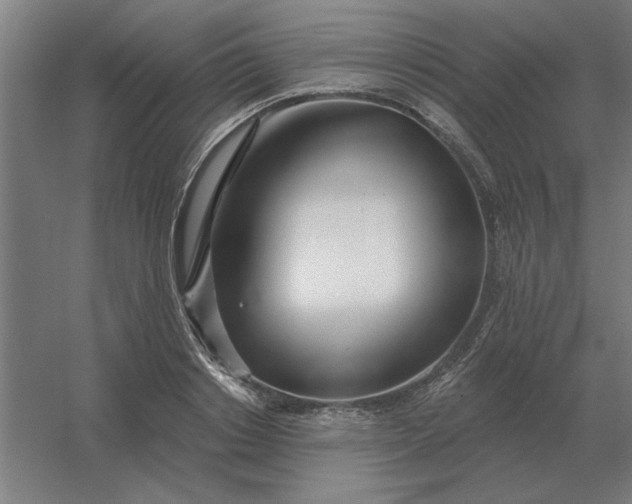 X0000054420842200508121749