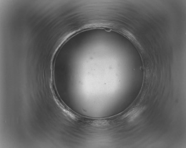 X0000054420844200508121749