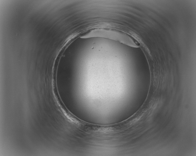 X0000054420845200508121749