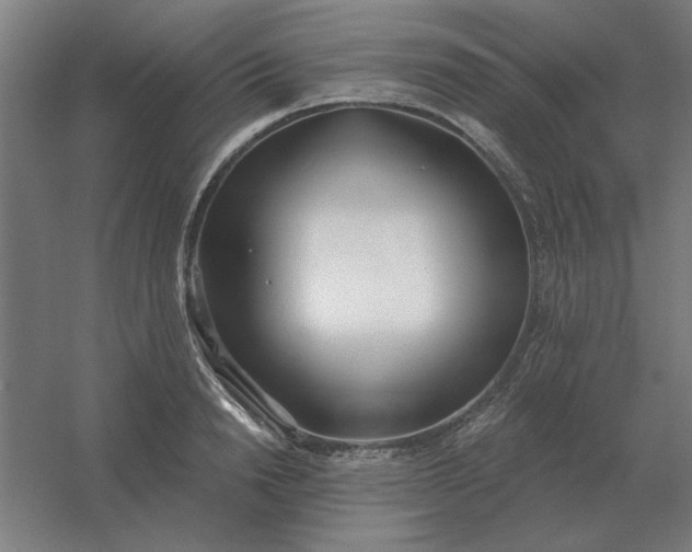 X0000054420846200508121749