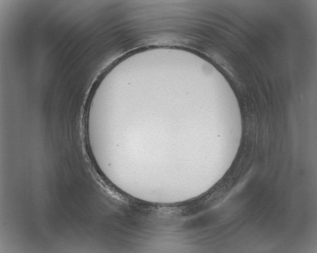 X0000054420848200508121749