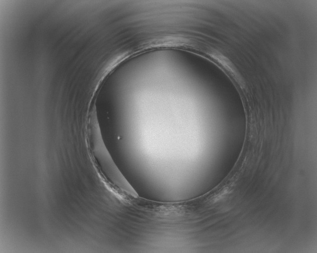 X0000054420850200508121749