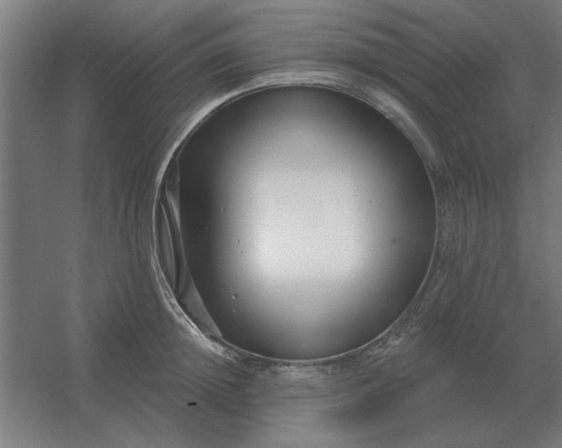 X0000054420852200508121749