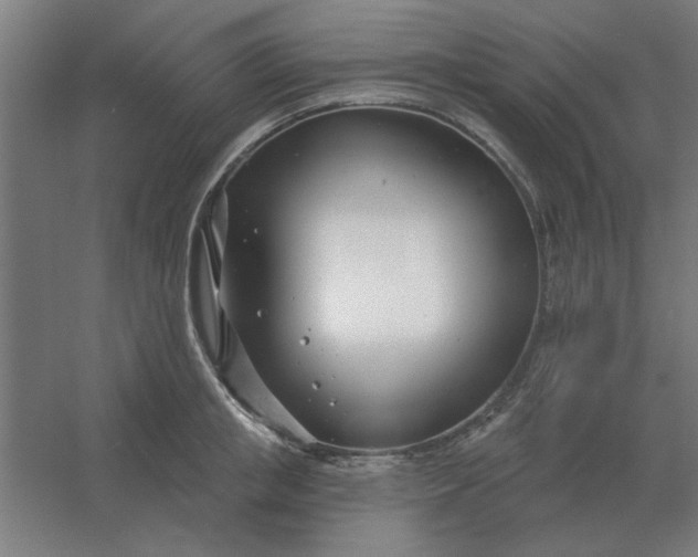 X0000054420853200508121749