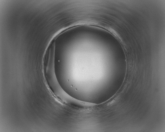 X0000054420854200508121749