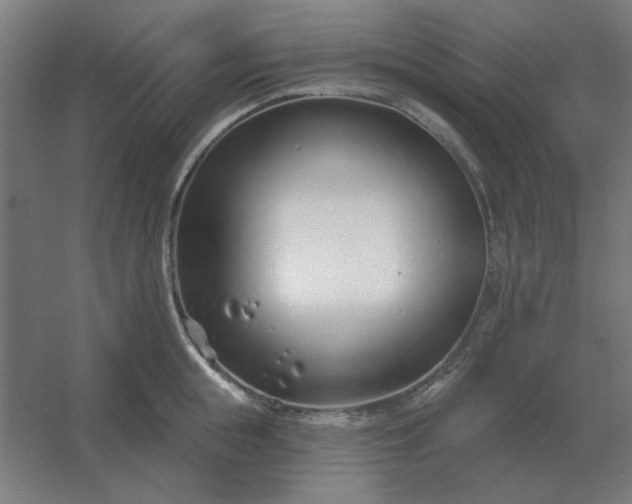 X0000054420855200508121749