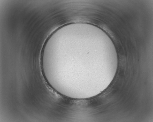 X0000054420856200508121749