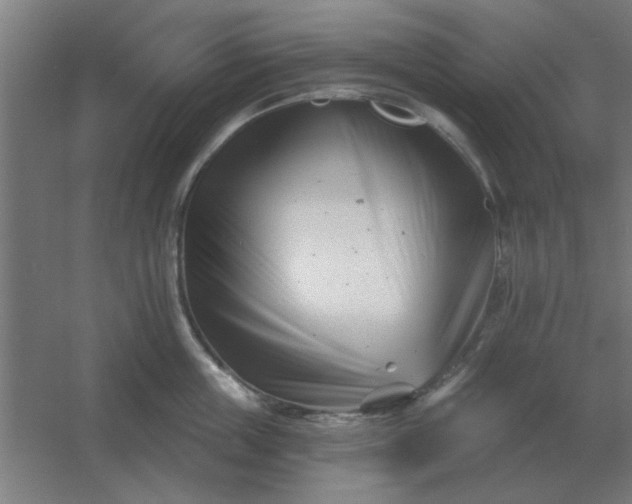 X0000054420859200508121749