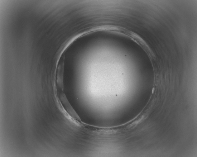 X0000054420860200508121750