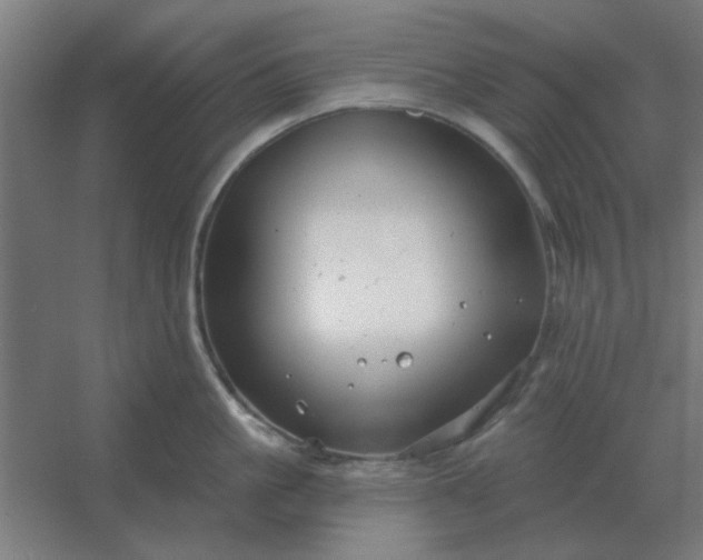 X0000054420861200508121750