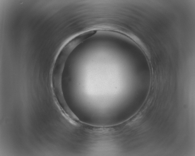 X0000054420862200508121750