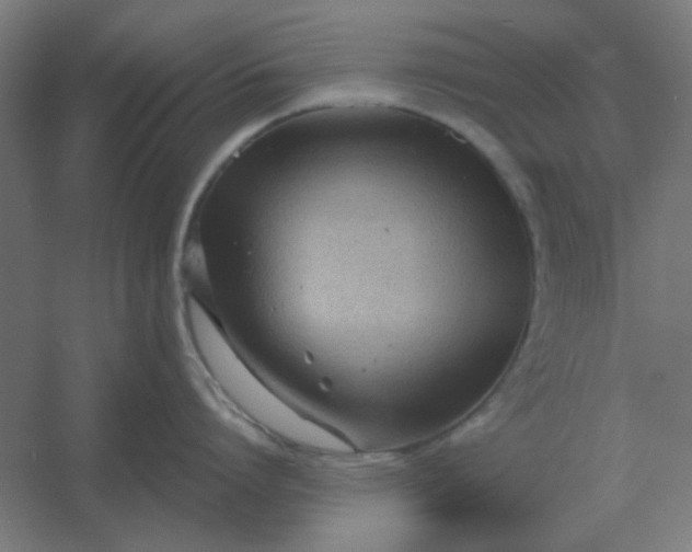 X0000054420864200508121750