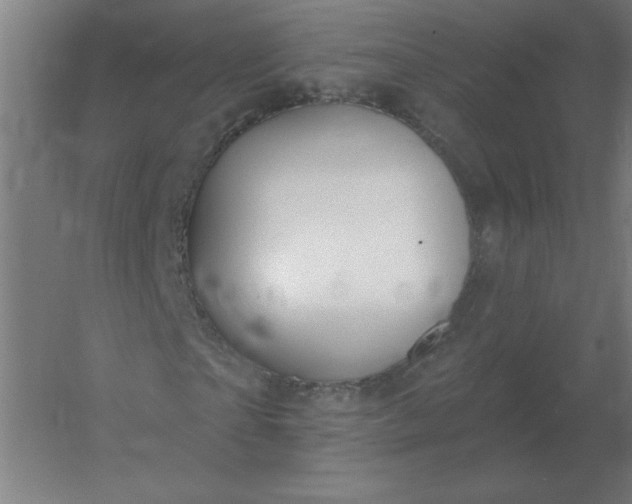 X0000054420865200508121749