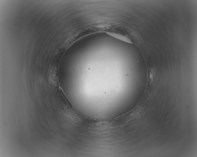 X0000054420867200508121749