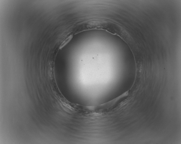 X0000054420868200508121749