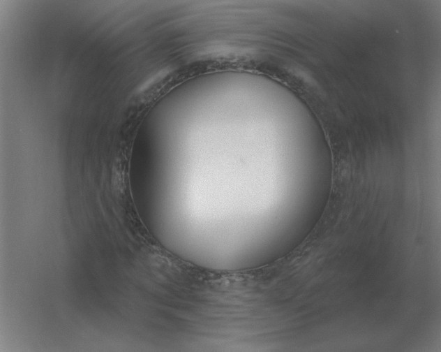 X0000054420869200508121749