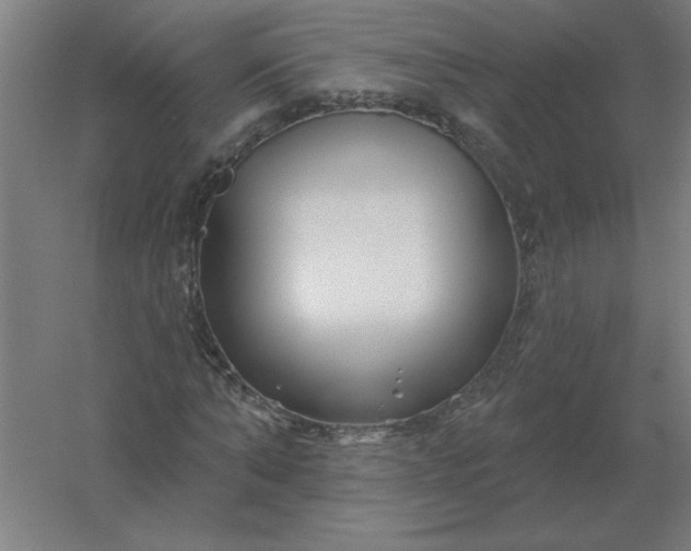 X0000054420870200508121749