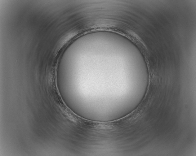 X0000054420874200508121749