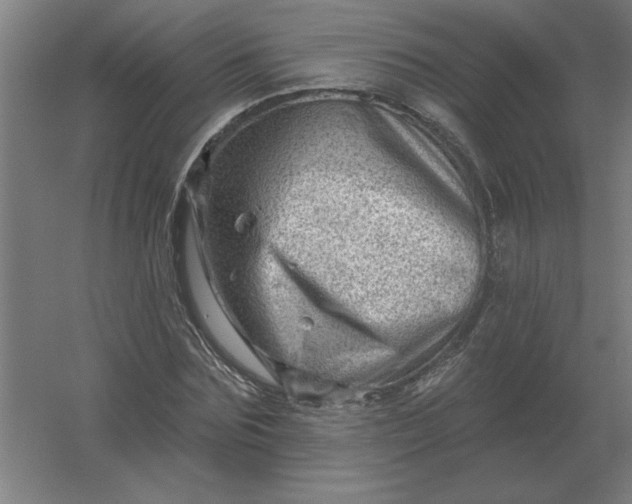 X0000054420875200508121749