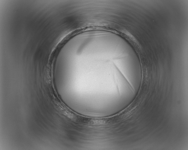 X0000054420878200508121749