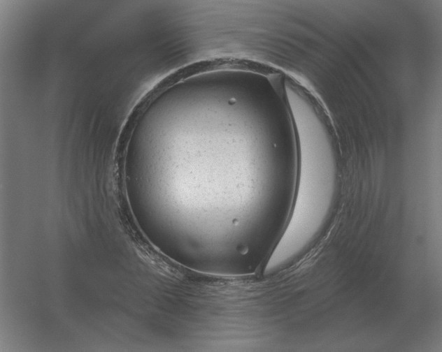 X0000054420879200508121749