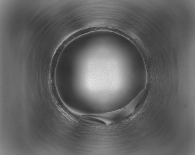 X0000054420880200508121748