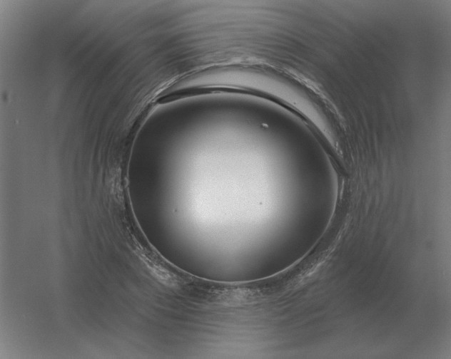 X0000054420881200508121748