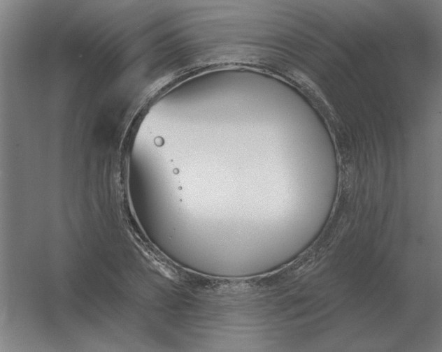 X0000054420882200508121748