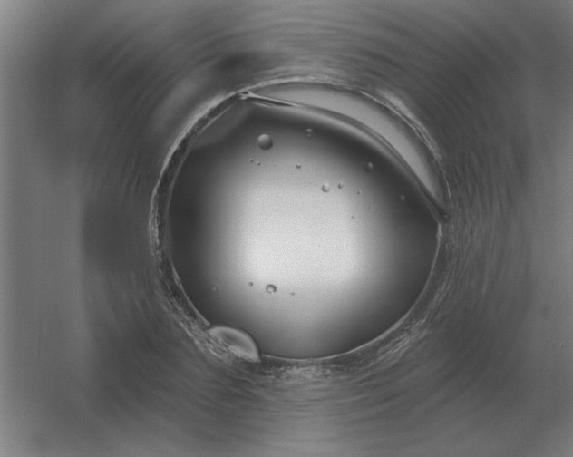 X0000054420883200508121748