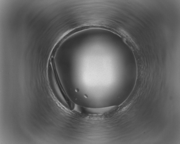 X0000054420884200508121748