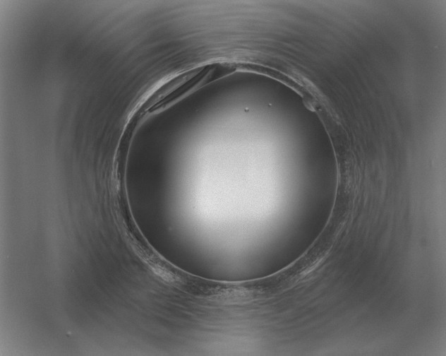 X0000054420885200508121748