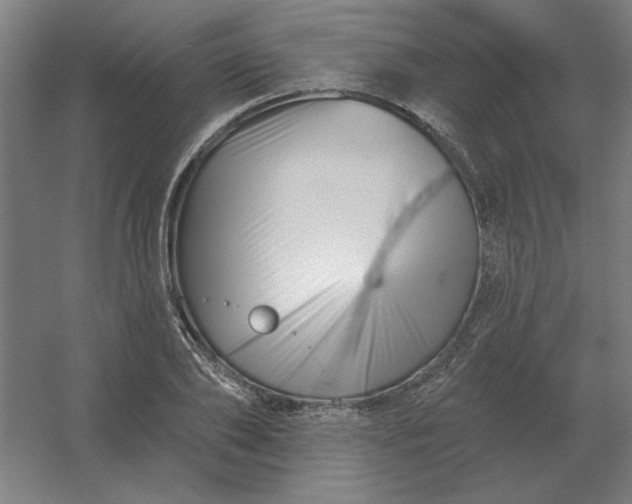 X0000054420886200508121748