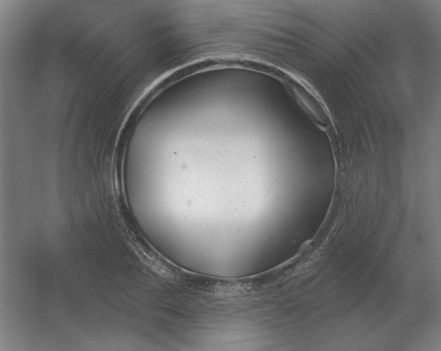 X0000054420887200508121748