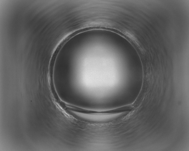 X0000054420888200508121748