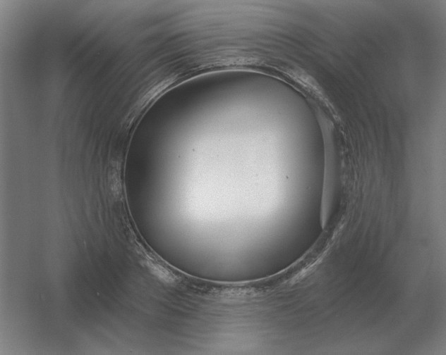 X0000054420889200508121748