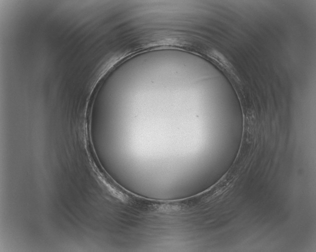 X0000054420890200508121748