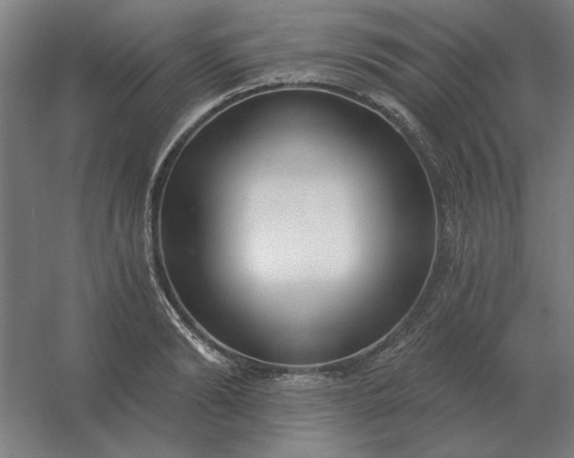 X0000054420894200508121748