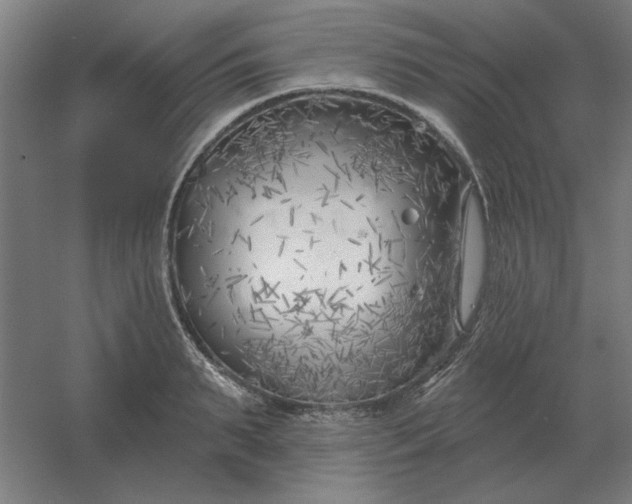 X0000054420895200508121748