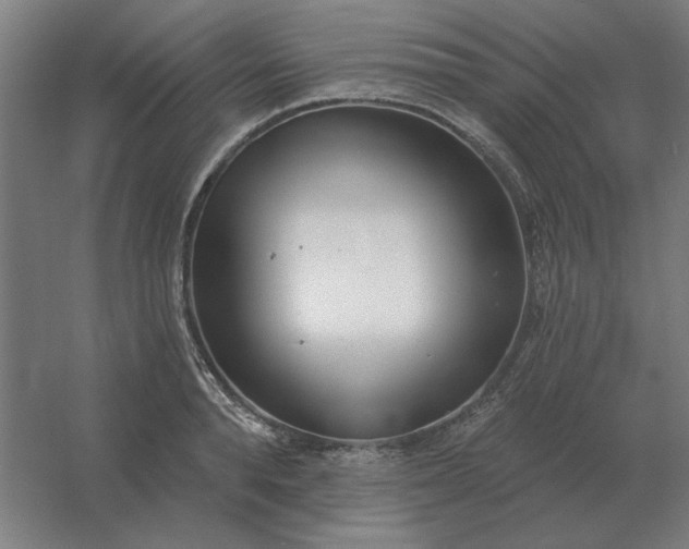 X0000054420896200508121748