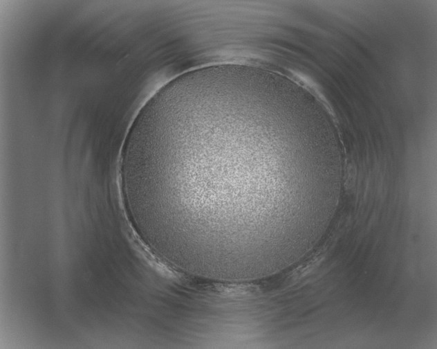 X0000054420899200508121748