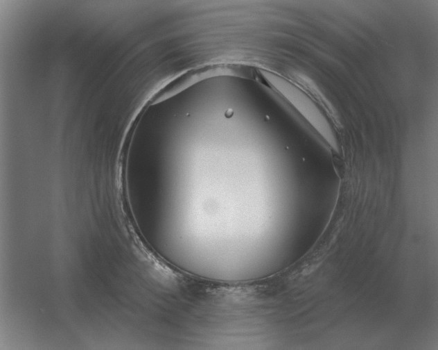 X0000054420900200508121748