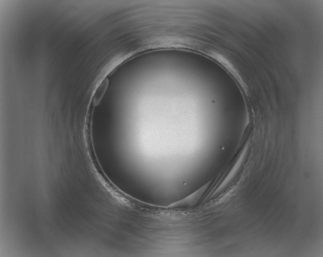 X0000054420901200508121748