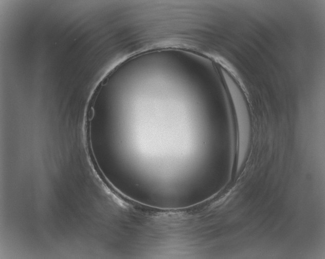 X0000054420902200508121748