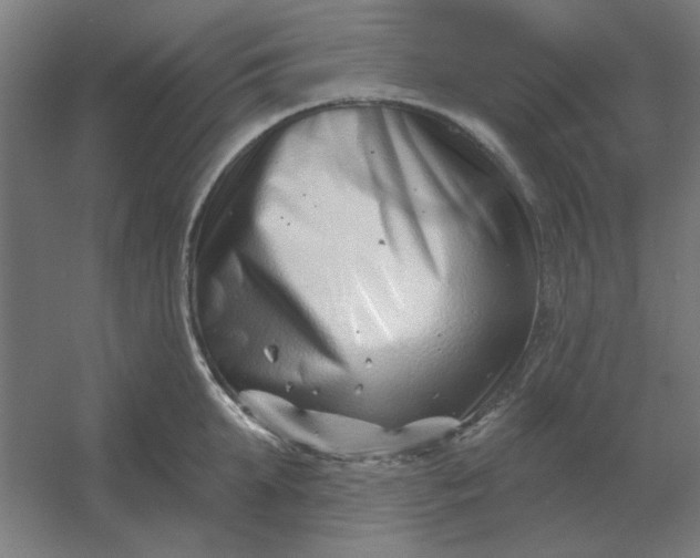 X0000054420903200508121748