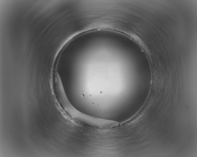 X0000054420904200508121748