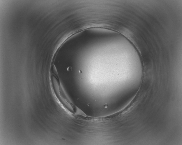 X0000054420906200508121748