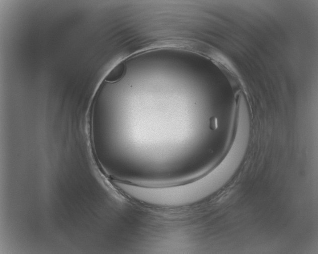 X0000054420907200508121748